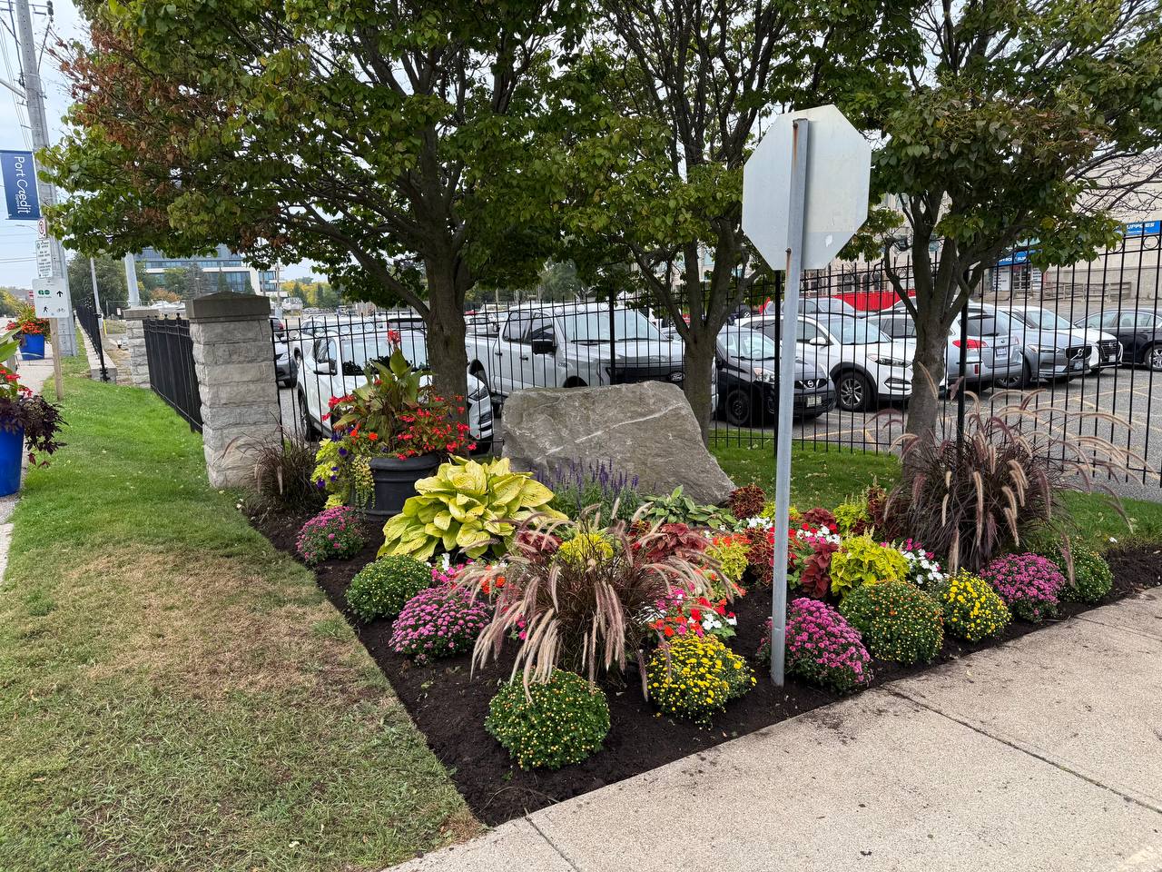 Commercial flower bed colour